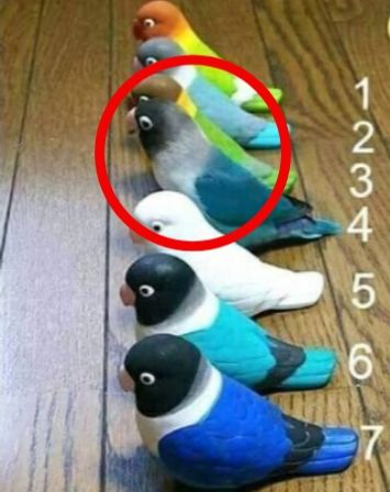 Tes iq dengan tes seberapa fokus dan jeli mata kamu, temukan burung mana yang asli dari ketujuh burung yang tampak mirip di atas