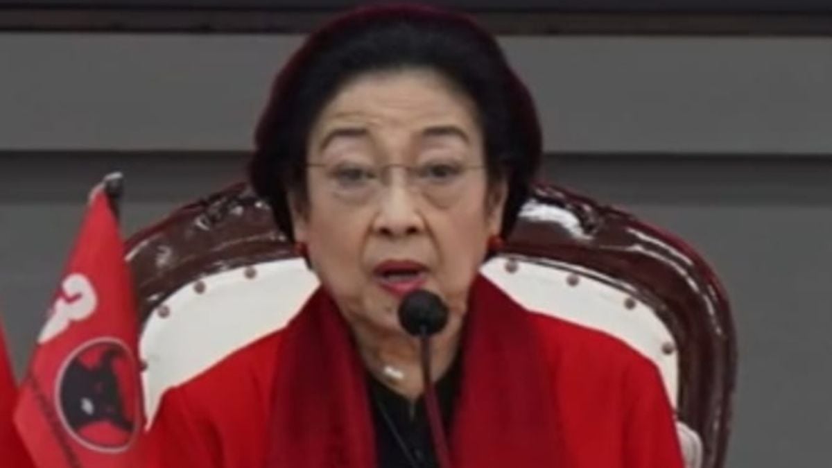 Megawati Yang Jadi Amicus Curiae Kader PDIP Kompak Unggah Dukungannya Banjarnegaraku