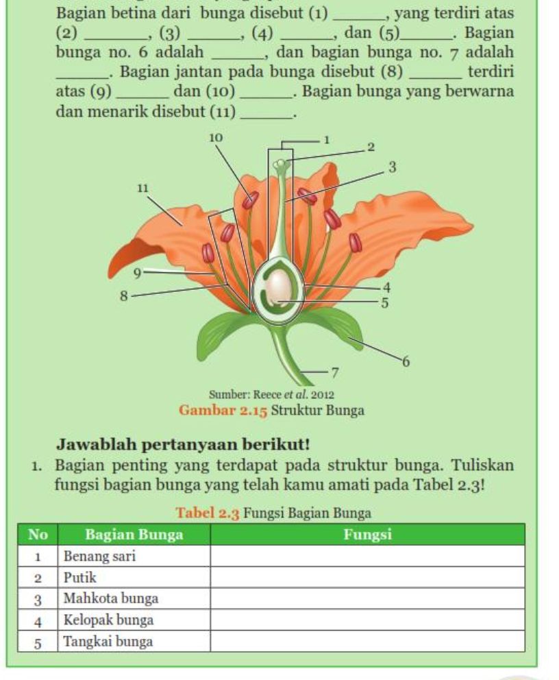 Bagian Bagian Bunga Lengkap Beserta Fungsinya Fontspa 5918