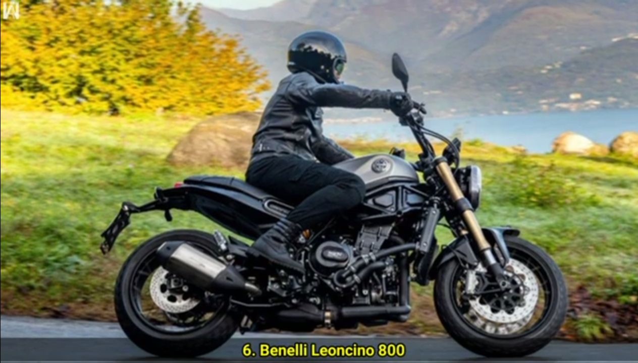 Benelli Leoncino 800 type standar