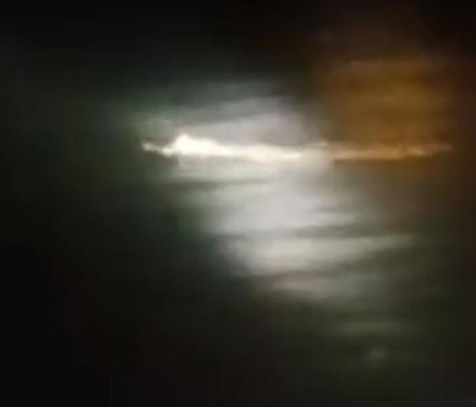 Tangkapan layar video Buaya Putih yang muncul di Kali Brantas