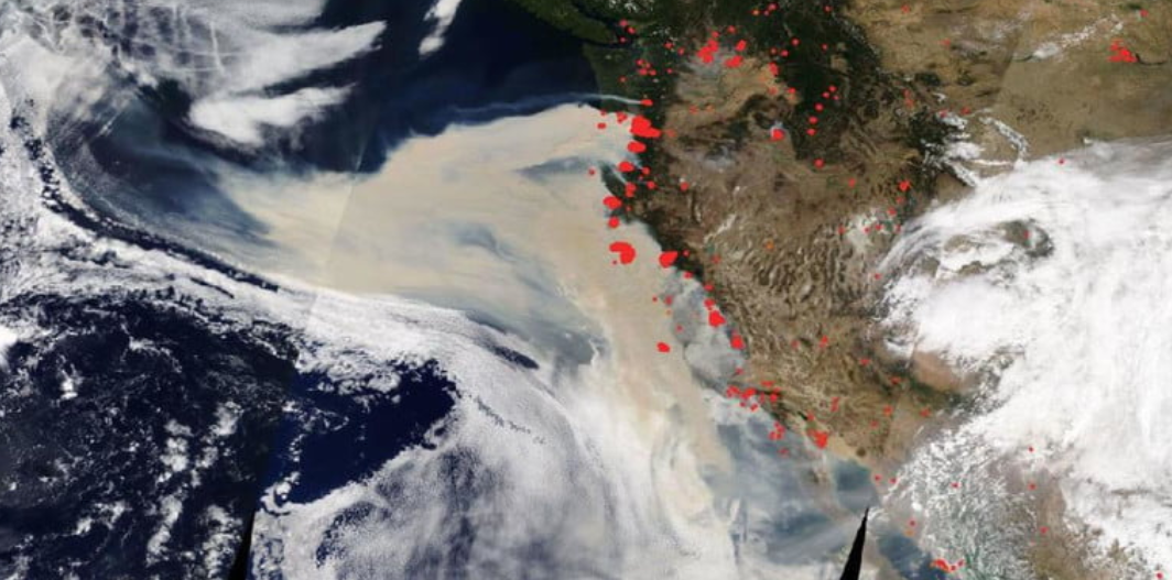 Gambar kebakaran hutan yang diambil NASA dari ruang angkasa. 