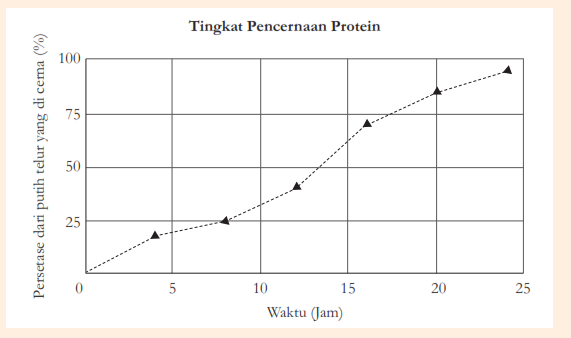 Grafik Tingkat Pencernaan Protein