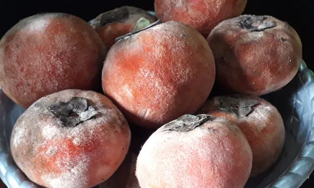 Lima Buah Khas  Hutan Indonesia yang Unik dan Langka, Sudah Pernah Coba?