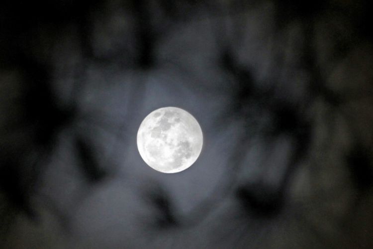 DO NOT MISS!  The Blue Moon Phenomenon Can Be Witnessed Sunday 22 August