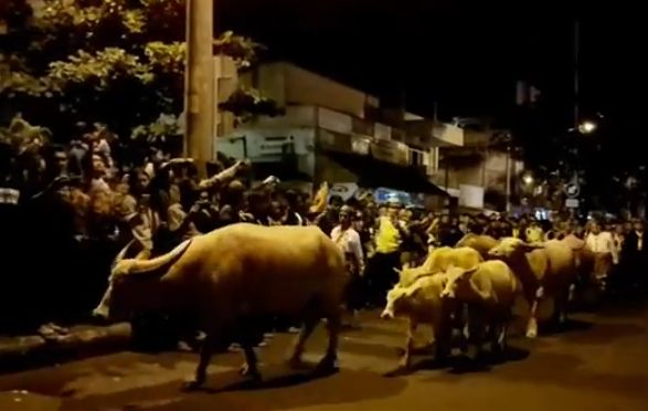 Tradisi Malam Satu Suro Berbagai Daerah Di Indonesia, Dari Grebeg Suro ...