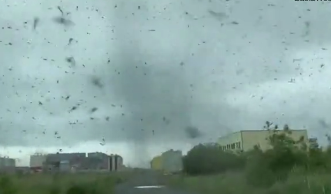 'Tornado' nyamuk di Rusia.