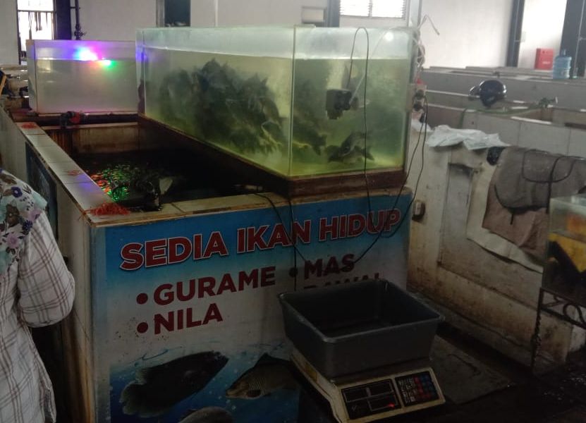 Satu-satunya lapak ikan hidup di Pasar Ikan Modern Soreang kabupaten Bandung milik Pak Iin