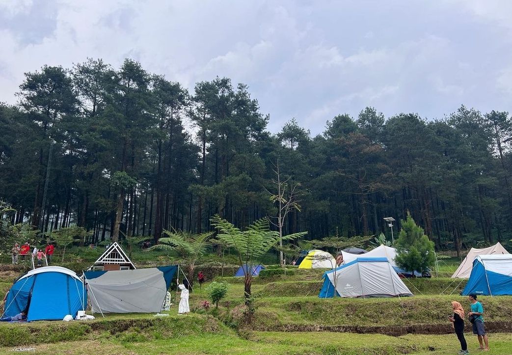 Lokasi camping di Hutan Pinus Limpakuwus, Baturraden.*