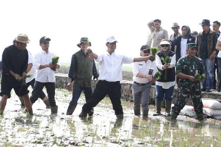 Pupuk Subsidi Bisa Ditebus Petani Pakai KTP, Mentan Andi Amran: Aturan yang Mempersulit, Kami Cabut