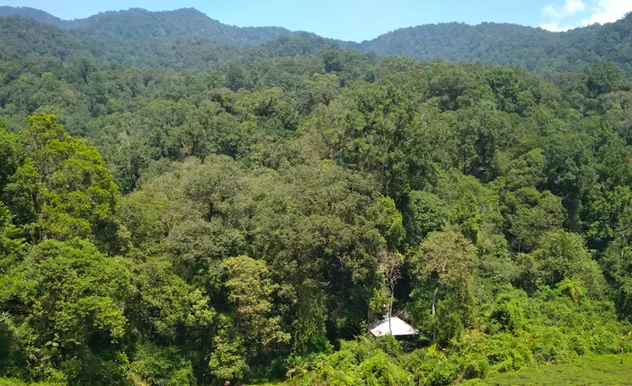 Wajib Dikunjungi Inilah 7 Rekomendasi Wisata Alam Populer Yang Menarik Saat Berkunjung Ke