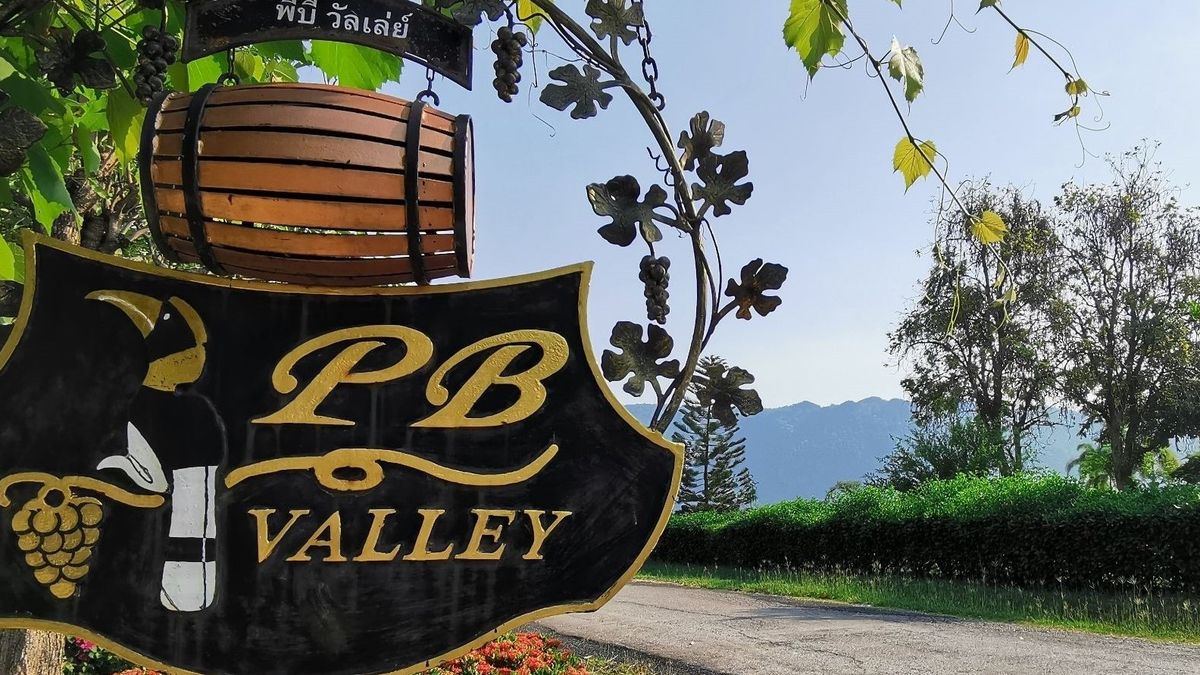 Menjelajahi PB Valley Khao Yai Winery Thailand Malang Hits