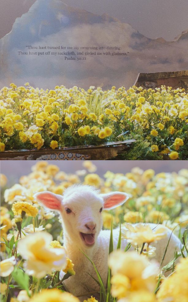 Kutipan ayat Alkitab dan anak domba muncul di bagian Taeyang BIGBANG.