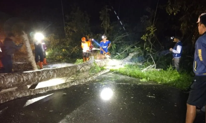 Cuaca ekstrem dan angin kencang menyebabkan pohon tumbang dan aliran listrik putus di tiga titik di Natuna.