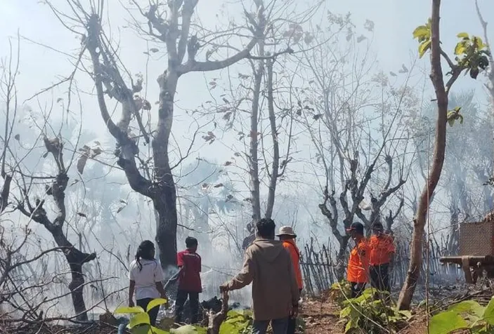 Bmkg Ingatkan Masyarakat Ntt Waspadai Potensi Angin Kencang Yang