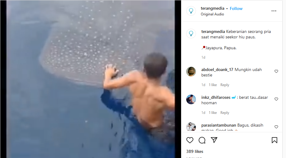 Video viral pria menaiki hiu tutul di laut.