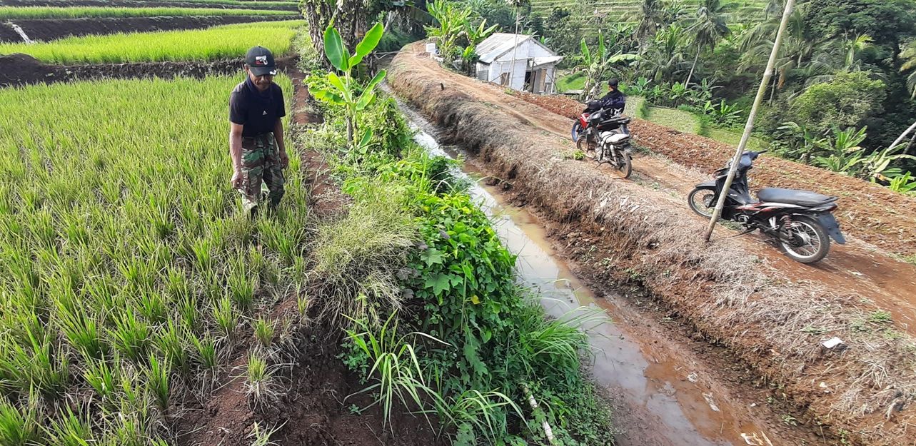 Warga menunjukkan sawah dan saluran irigasi yang kering di kawasan Kampung Semper, Desa Kertamukti, Kecamatan Cipatat, Kabupaten Bandung Barat pada Minggu 30 Juni 2024.