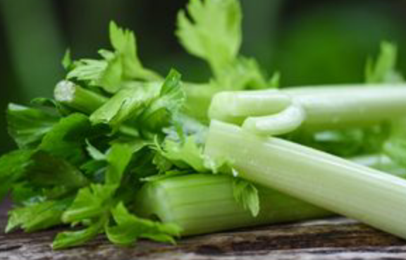 Obat Asam Urat Generik Dan Paten