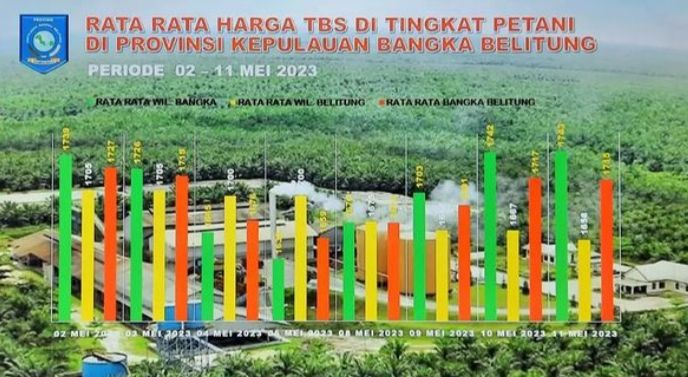 Rata - rata Harga TBS Sawit Bangka Belitung Kamis, 11 Mei 2023
