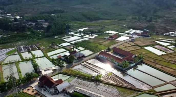 Desa Seribu Kolam Ternyata Ada di Banjarnegara, Yaitu Desa Tanjunganom, Penghasil Ikan Air Tawar di Jawa Tengah