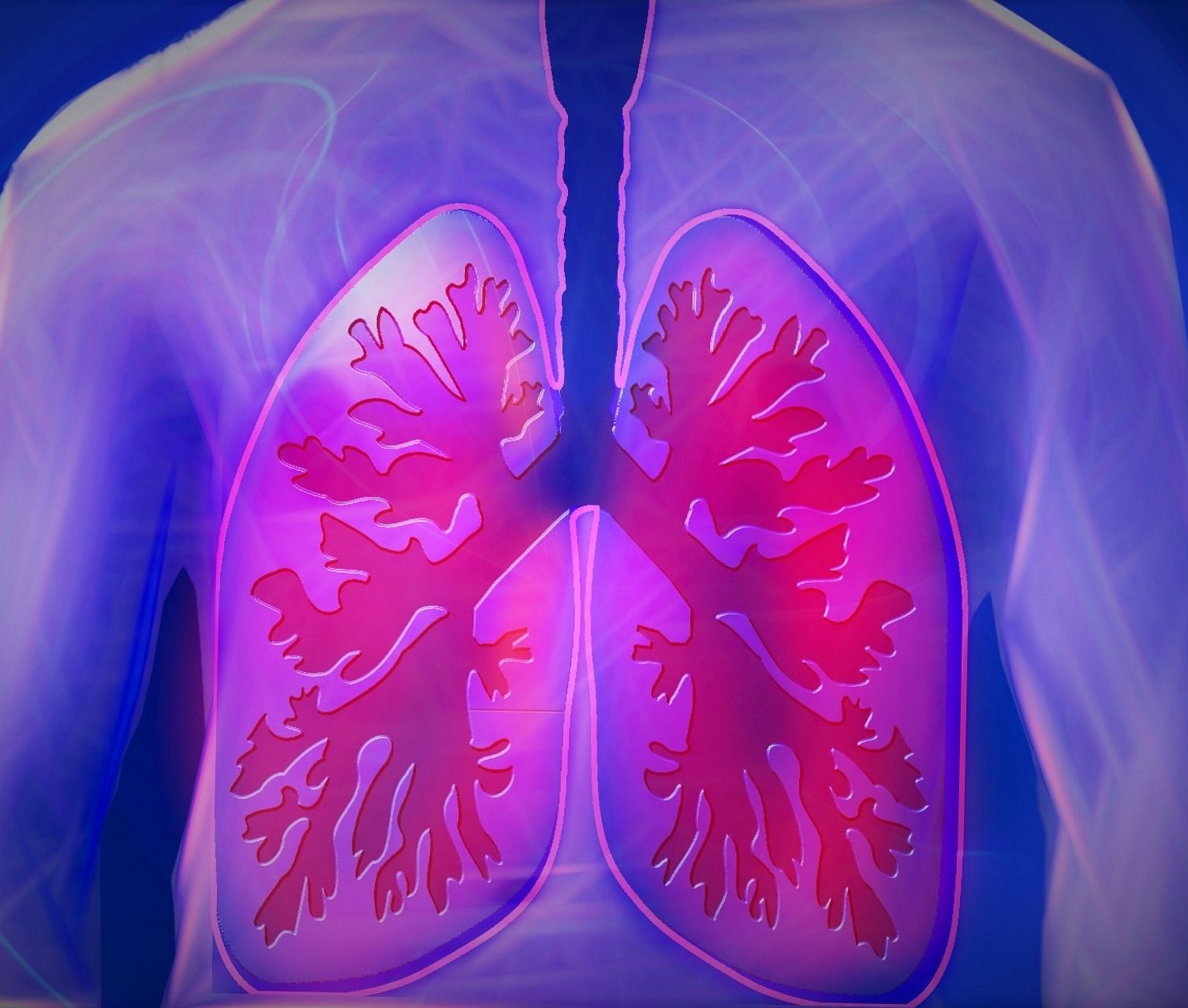 Ilustrasi paru-paru yang sehat