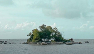 Pulau Simping, pulau terkecil di dunia ternyata ada di Indonesia.