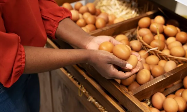 Lebih Murah, Disnakkan Magetan Gelar Pasar Telur Murah, 150 Kilogram Terjual Sekejab di Kecamatan Barat