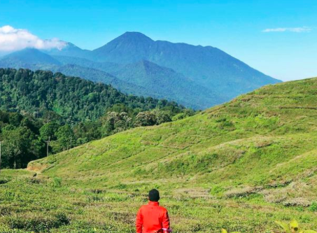 Pemandangan Gunung Gede Pangrango dari perkebunan teh sebelum pos pendakian Gunung Kencana.*