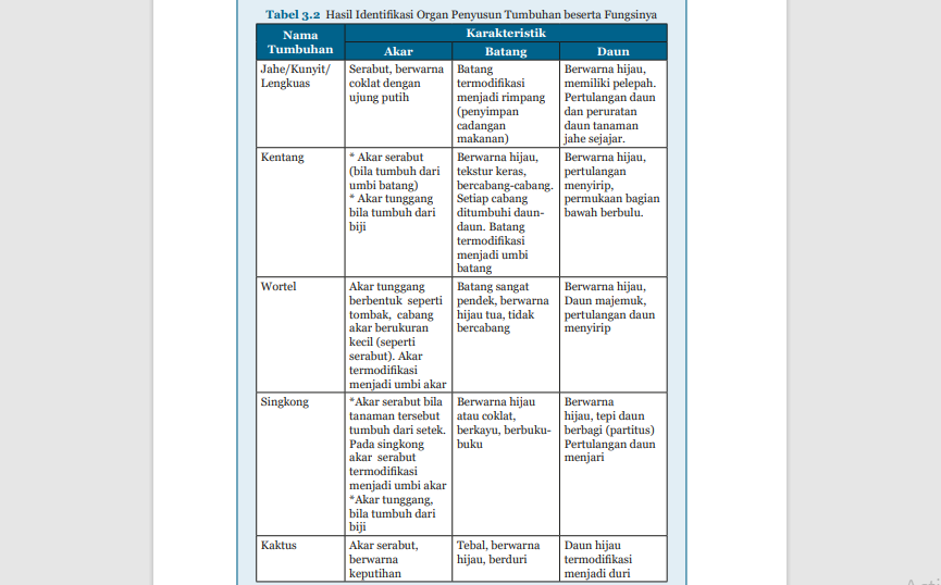 Kunci Jawaban Ipa Kelas 8 Halaman 108 109 Mengidentifikasi Organ Penyusun Tumbuhan Beserta 8922