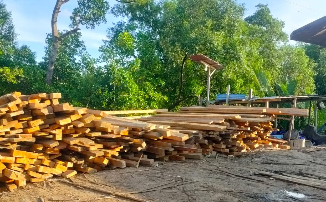 Bisnis Illegal Logging Diduga Masih Dijalankan Pengusaha 'A', Pengamat Hukum sebut KPK Harus Turun Tangan