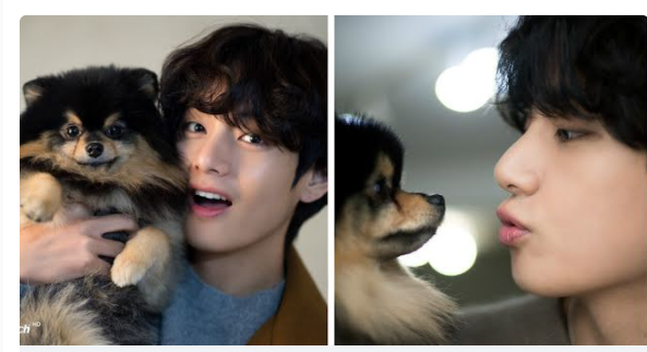 V BTS dan anjing kesayangannya, Yeontan. 