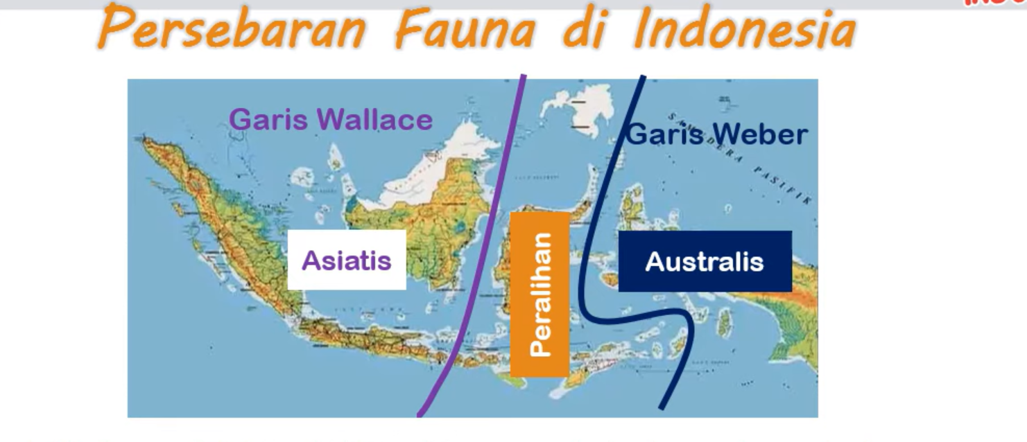 Peta Persebaran Flora Dan Fauna Di Indonesia Kunci Jawaban Kelas 5 Tema 1 Subtema 2 Ringtimes Bali<script async src=