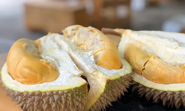 Jarang Diketahui, Biji Durian Ternyata Memiliki Kandungan Nutrisi dan Manfaat Bagi Kesehatan