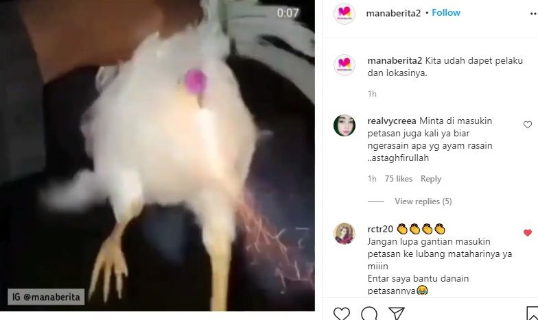Viral video pemuda ledakkan petasan di pantat ayam