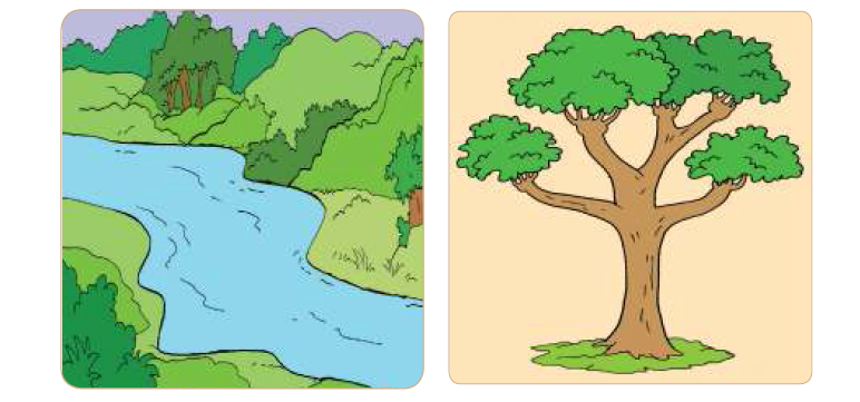 Kunci Jawaban Buku Tema 9 Kelas 4 SD MI Halaman 48 Subtema 2, Manfaat Sungai dan Pohon Bagi Manusia./