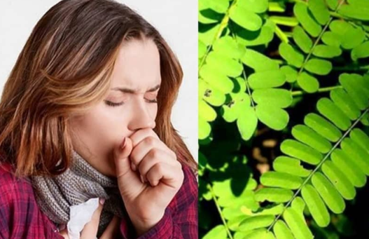 Cara mengatasi sesak nafas karena batuk secara alami