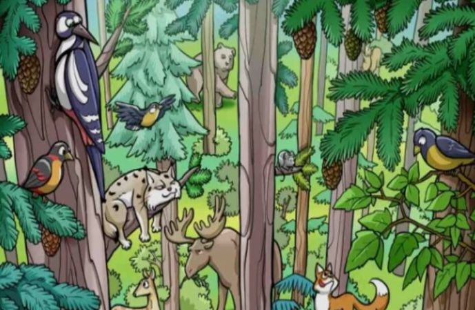 Tes IQ Ilusi Optik: Cek Kepintaran! Bisakah Anda Temukan Tupai yang Tersembunyi pada Gambar Hutan ini?