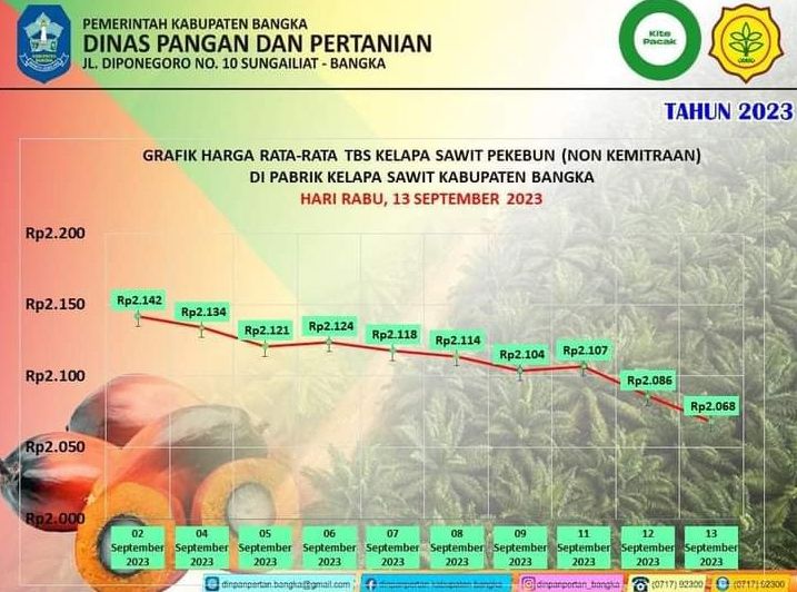 Grafik Harga TBS Sawit Bangka Hari Ini, Rabu, 13 September 2023