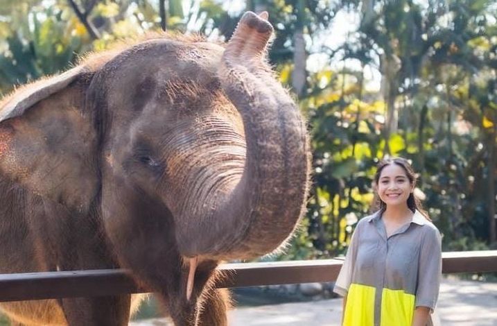 Nagita Slavina Ngaku Sering Kena Marah Gara Gara Hal Ini Pikiran Rakyat Tasikmalaya