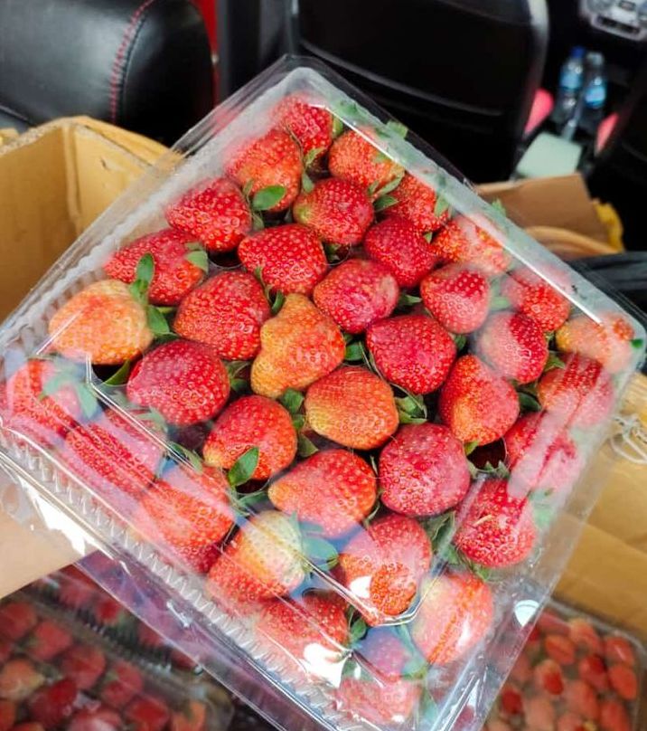 Strawberry 1 kg