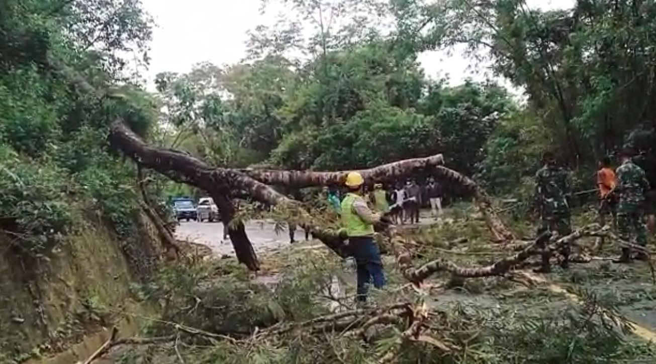 Banjir Bandang NTT, kondisi akses salah satu akses jalan terputus akibat pohon tumbang di Waingapu Pulau Sumba hari ini Selasa 6 April 2021