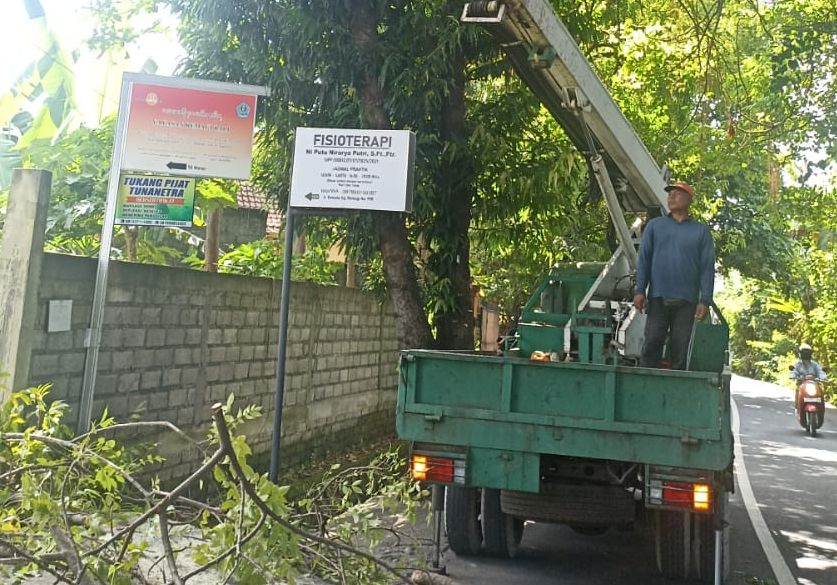 Petugas DLHK Kota Denpasar saat melaksanakan perompesan di kawasan Desa Sidakarya, Denpasar Selatan, Selasa (24/1). 
