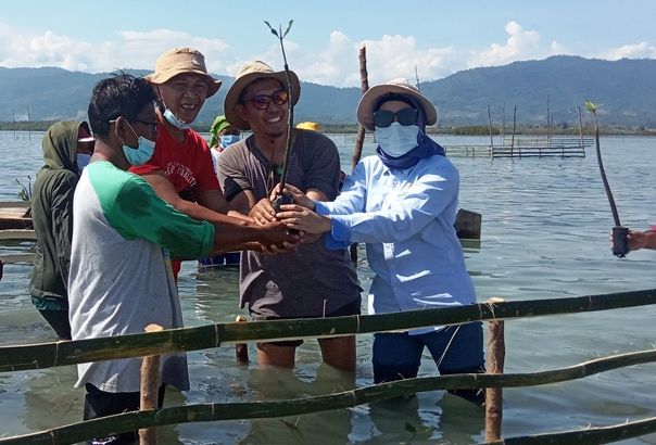 Umar Pasandre (paling kiri) beserta jajaran BPDAS HL Bone Bolango, Gorontalo saat penanaman mangrove dalam program PEN PKPM Kementerian LHK, di pesisir Torosiaje, Pohuwato Gorontalo, November 2020. 