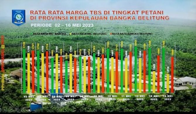 Rata Rata TBS sawit Bangka Belitung Selasa, 16 Mei 2033