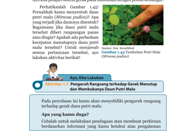 Kunci jawaban untuk mata pelajaran IPA kelas 8 halaman 49 50