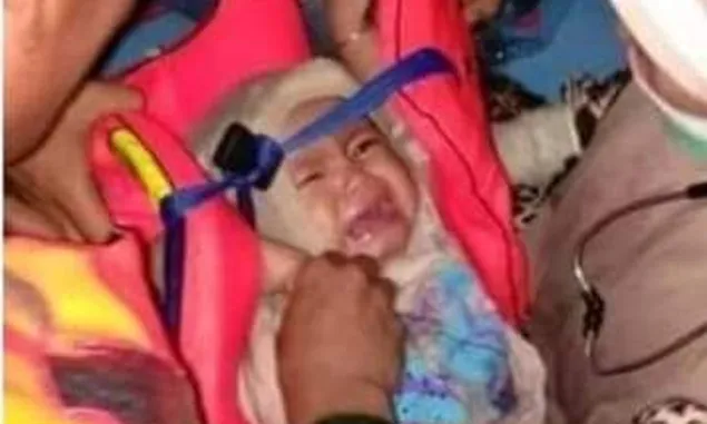 Seorang Bayi Selamat dari Tragedi Sriwijaya Air SJ 182, Cek Faktanya 