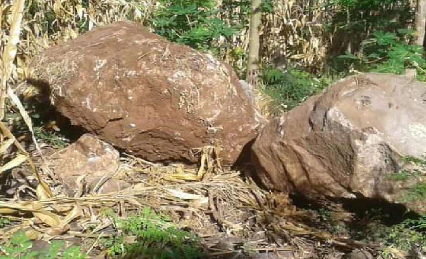Tampak batu-batu besar akibat longsor yang menimpa tanaman milik warga.
