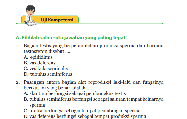 Kunci Jawaban IPA Kelas Halaman Uji Kompetensi Bab Sistem Reproduksi Pada Manusia