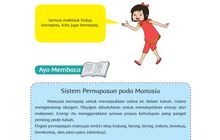 Tabel Kata Tanya Apa Kapan Dimana Bagaimana Mengapa Bacaan Sistem Pernapasan Pada Manusia Kelas 5 Sd Portal Jember