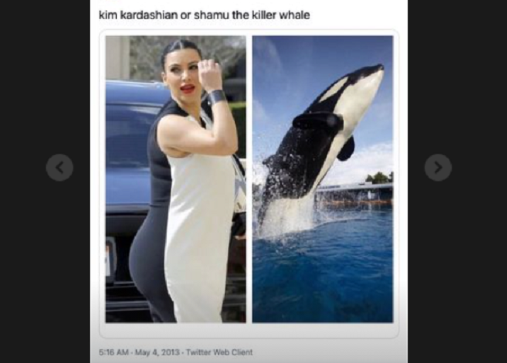 Unggahan Kim Kardashian di instagram stories-nya saat dirinya dibandingkan dengan seekor paus  